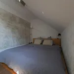 Ruhiges & Zentrales Loft In Daire